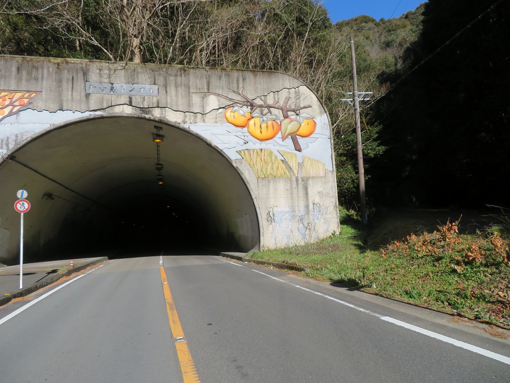 f:id:poseidonttzr:20210114133812j:plain