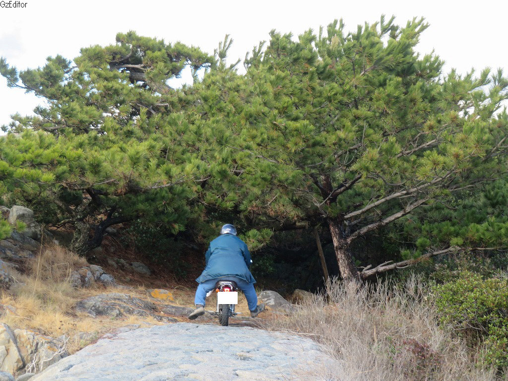 f:id:poseidonttzr:20210217143436j:plain