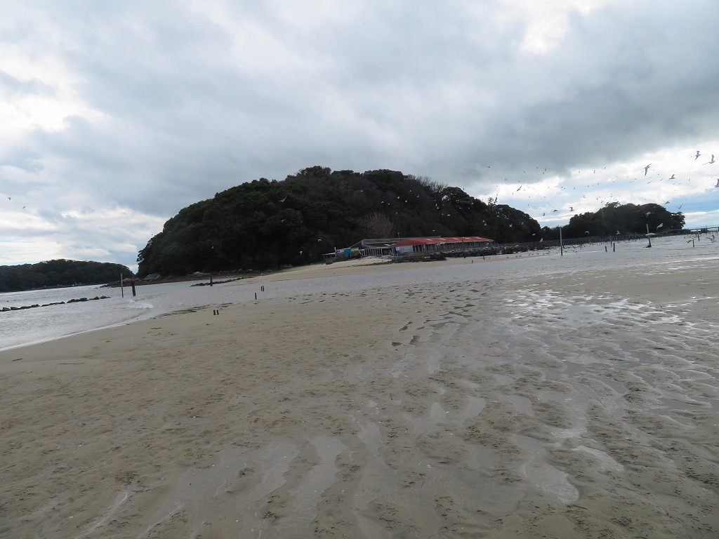 f:id:poseidonttzr:20210315060911j:plain