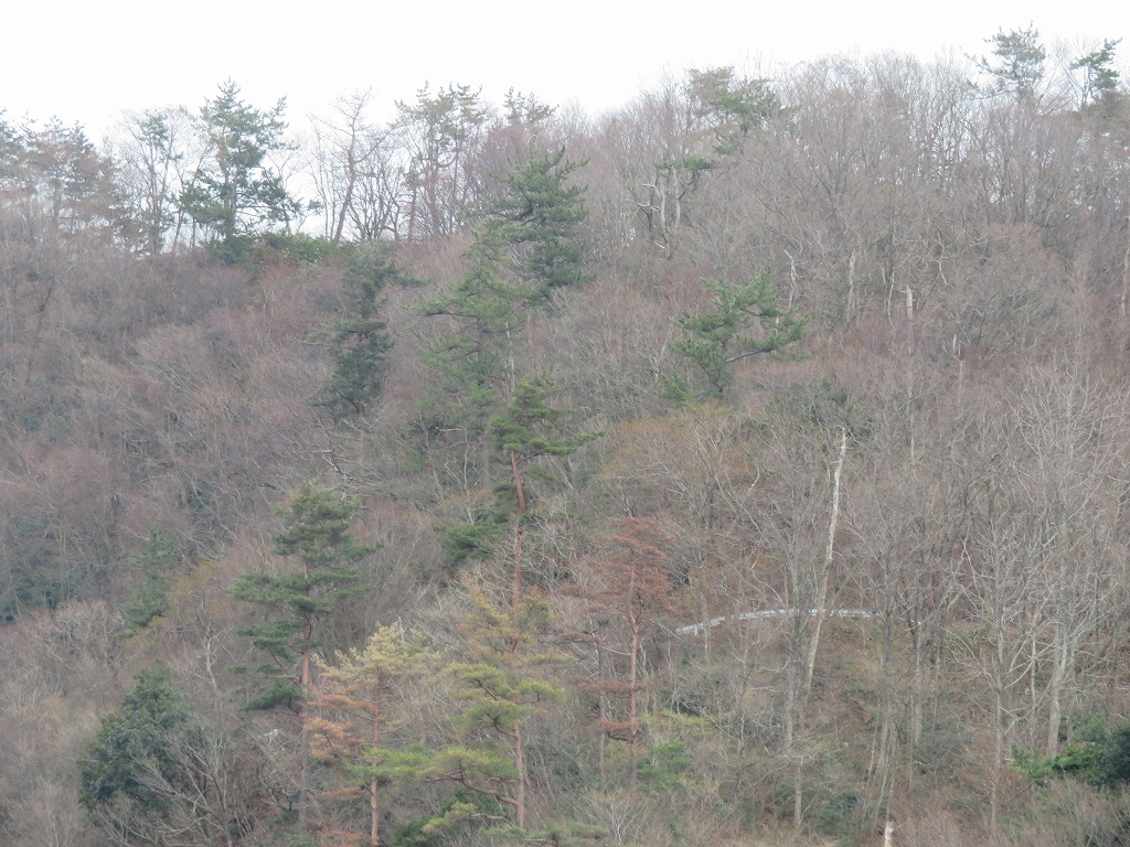 f:id:poseidonttzr:20210321180518j:plain