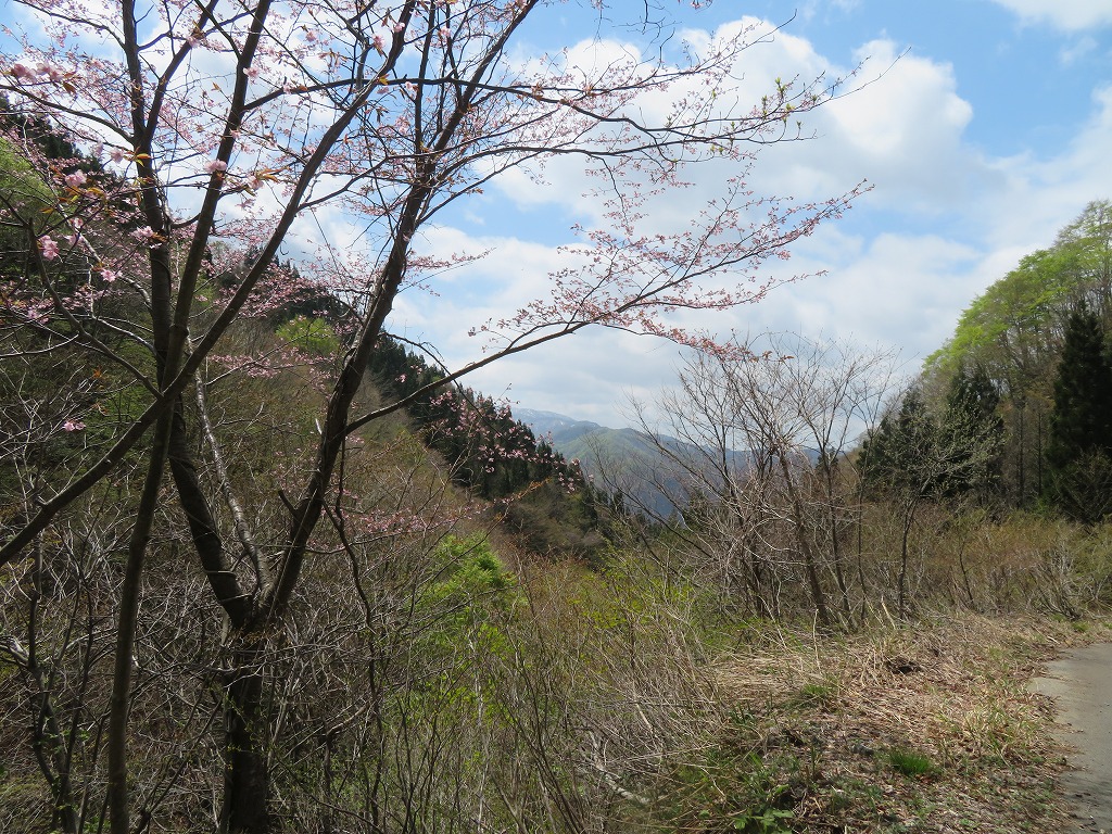 f:id:poseidonttzr:20210420143404j:plain