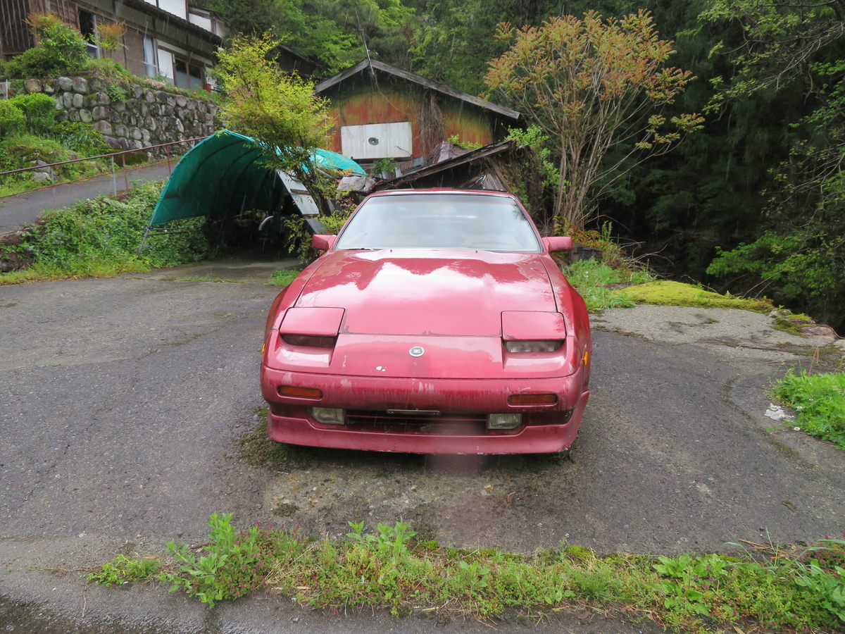草ヒロ Z 真 山神のブログ