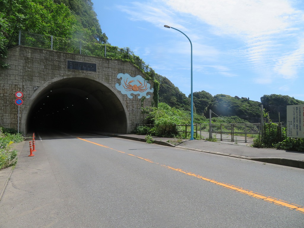 f:id:poseidonttzr:20210607075117j:plain