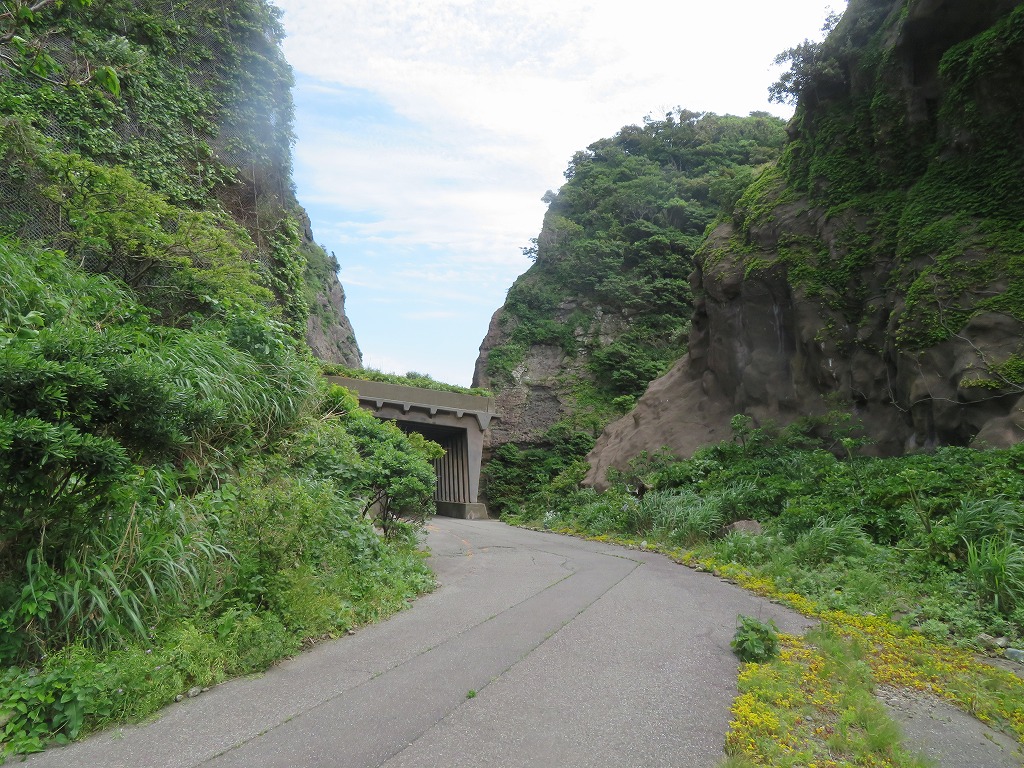 f:id:poseidonttzr:20210607080552j:plain