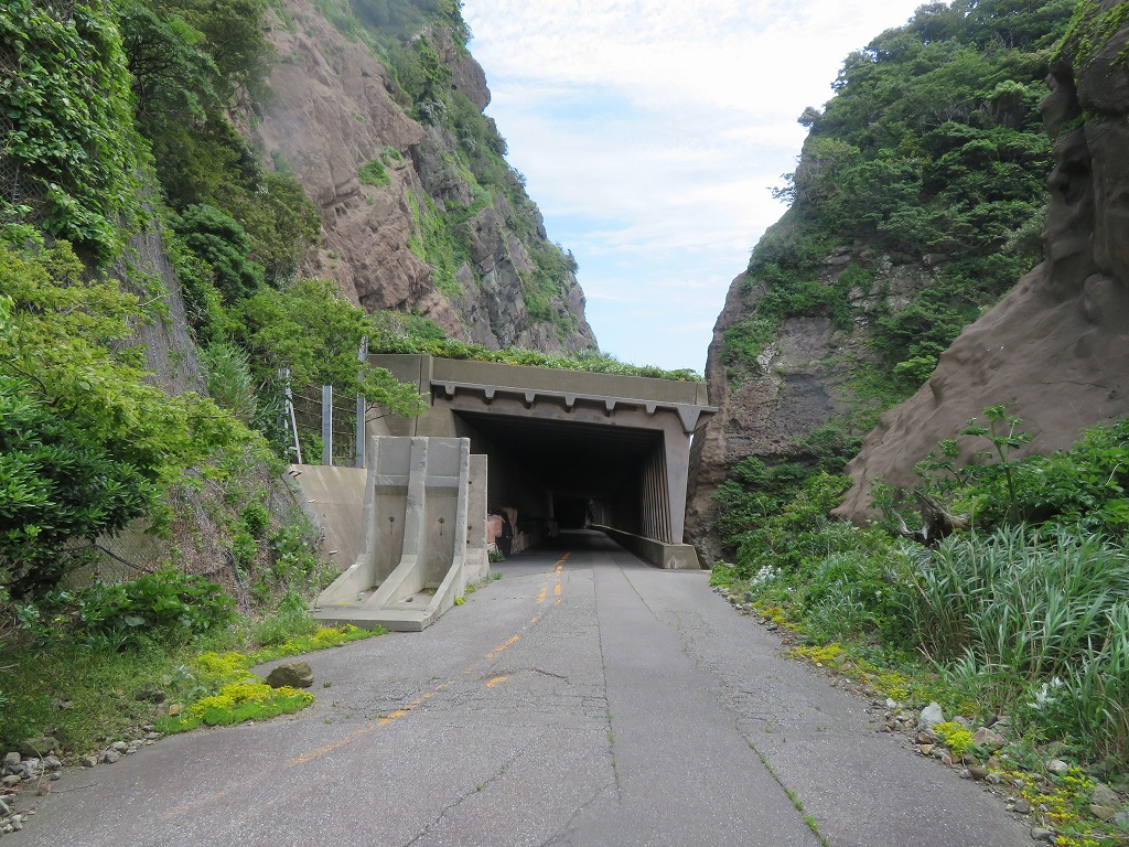 f:id:poseidonttzr:20210607080620j:plain