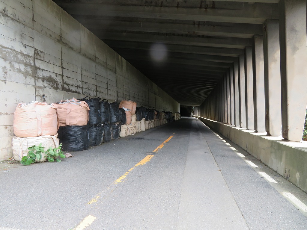 f:id:poseidonttzr:20210607080745j:plain