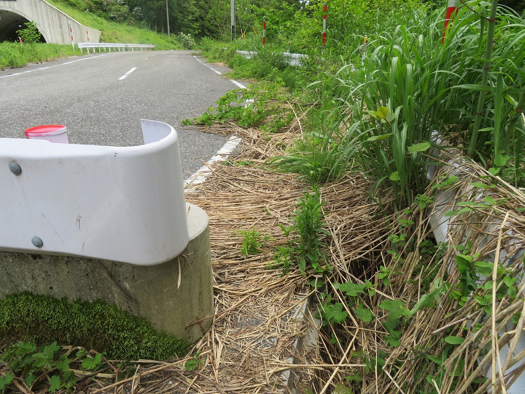 f:id:poseidonttzr:20210619175022j:plain