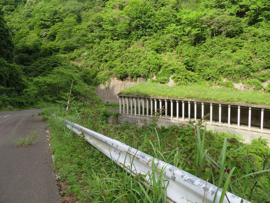 f:id:poseidonttzr:20210625150617j:plain