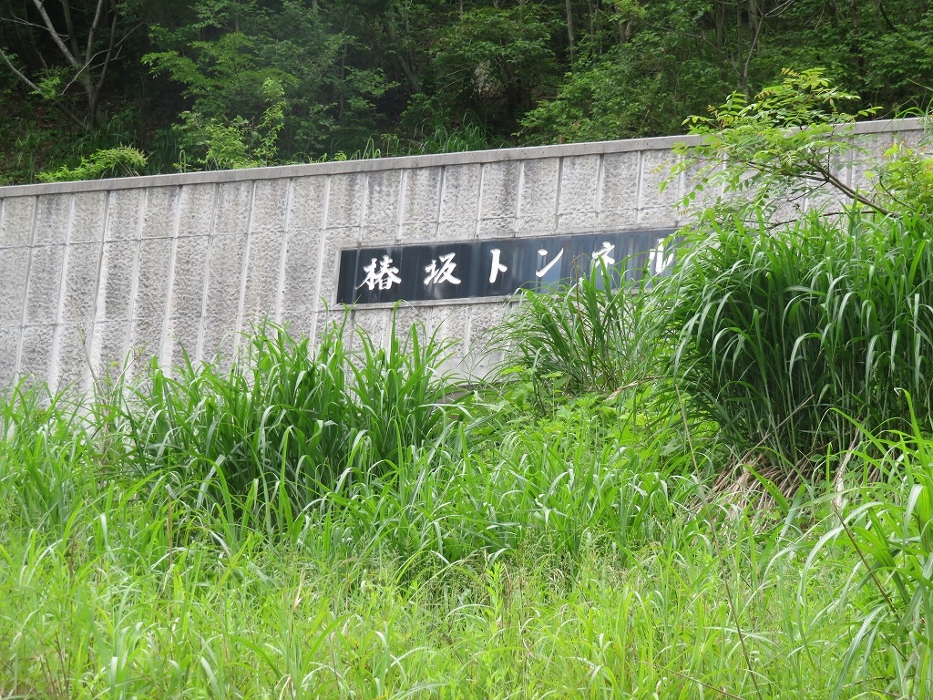 f:id:poseidonttzr:20210625151911j:plain