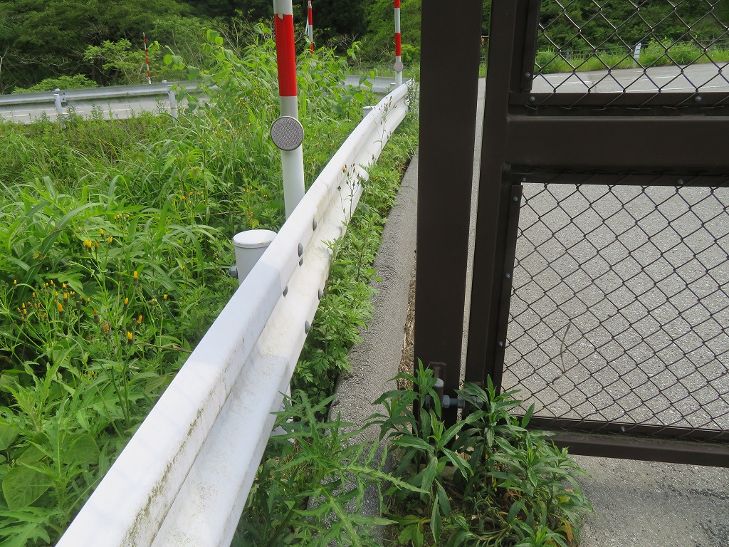 f:id:poseidonttzr:20210625155418j:plain