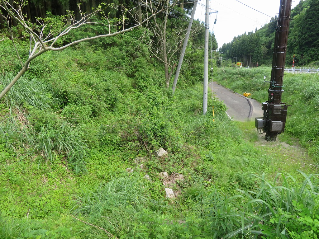 f:id:poseidonttzr:20210625155537j:plain