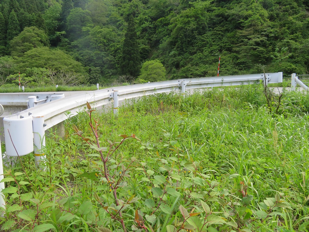 f:id:poseidonttzr:20210625155738j:plain