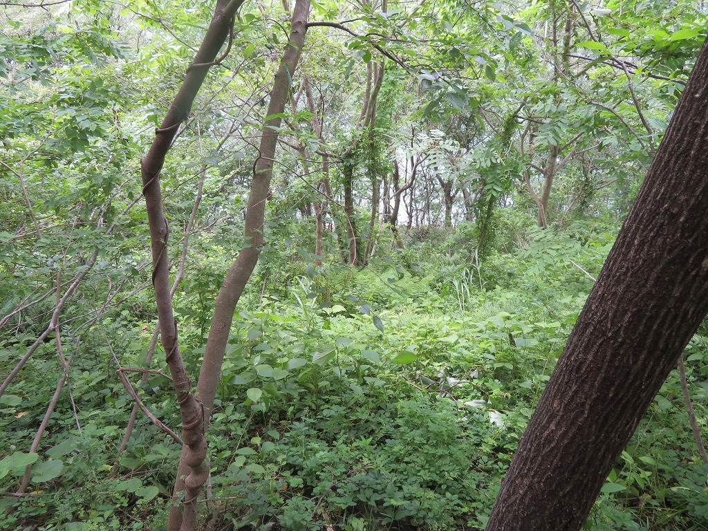 f:id:poseidonttzr:20210628085500j:plain