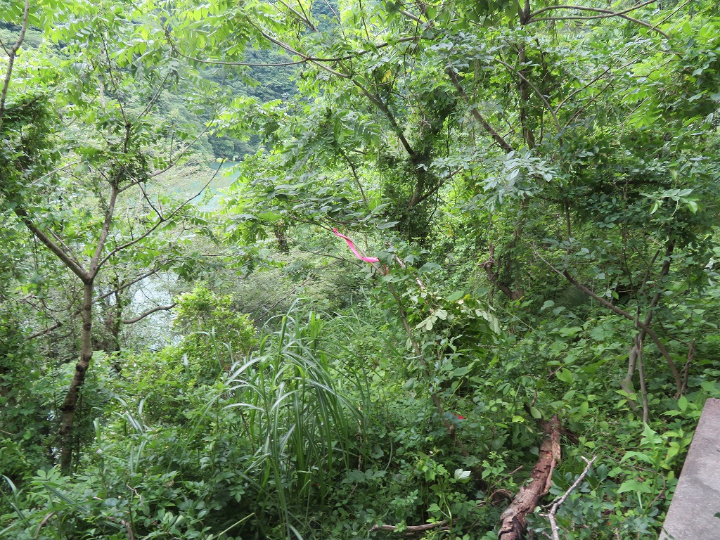 f:id:poseidonttzr:20210628085851j:plain