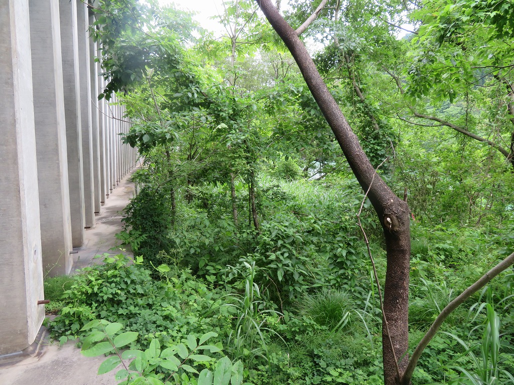 f:id:poseidonttzr:20210628090052j:plain