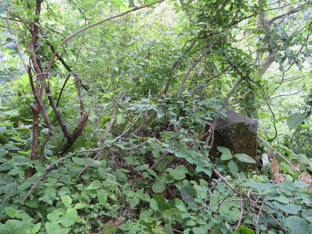 f:id:poseidonttzr:20210628090126j:plain