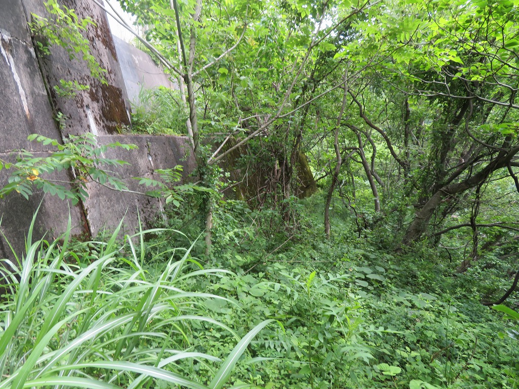 f:id:poseidonttzr:20210628122242j:plain