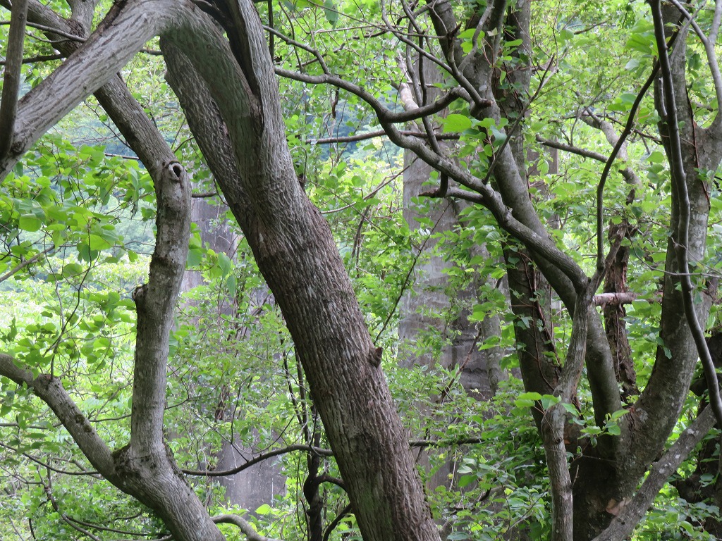 f:id:poseidonttzr:20210628122322j:plain