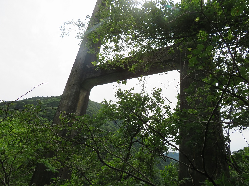 f:id:poseidonttzr:20210628122640j:plain