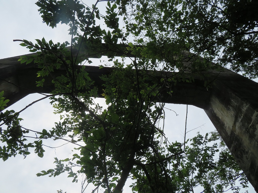 f:id:poseidonttzr:20210628123049j:plain