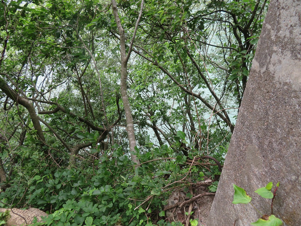 f:id:poseidonttzr:20210628123320j:plain