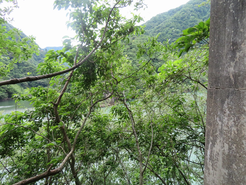 f:id:poseidonttzr:20210628123909j:plain