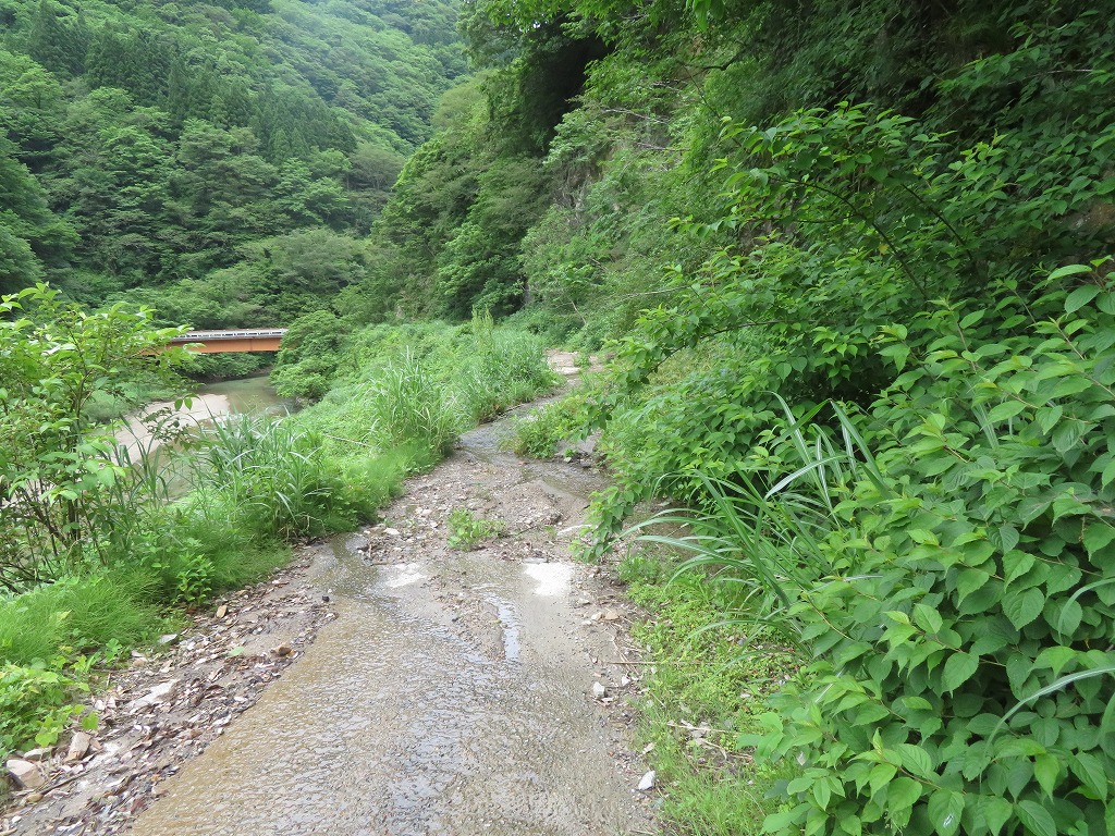 f:id:poseidonttzr:20210703181324j:plain