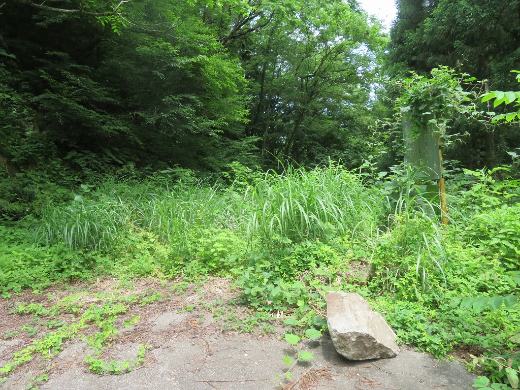 f:id:poseidonttzr:20210704190703j:plain