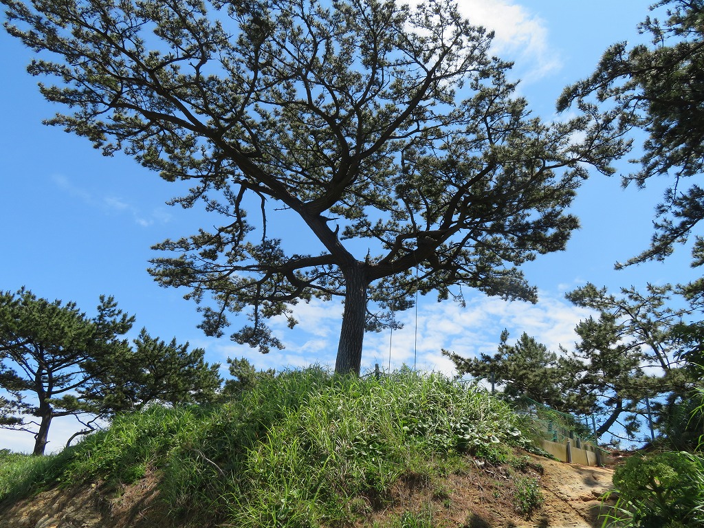 f:id:poseidonttzr:20210708132631j:plain