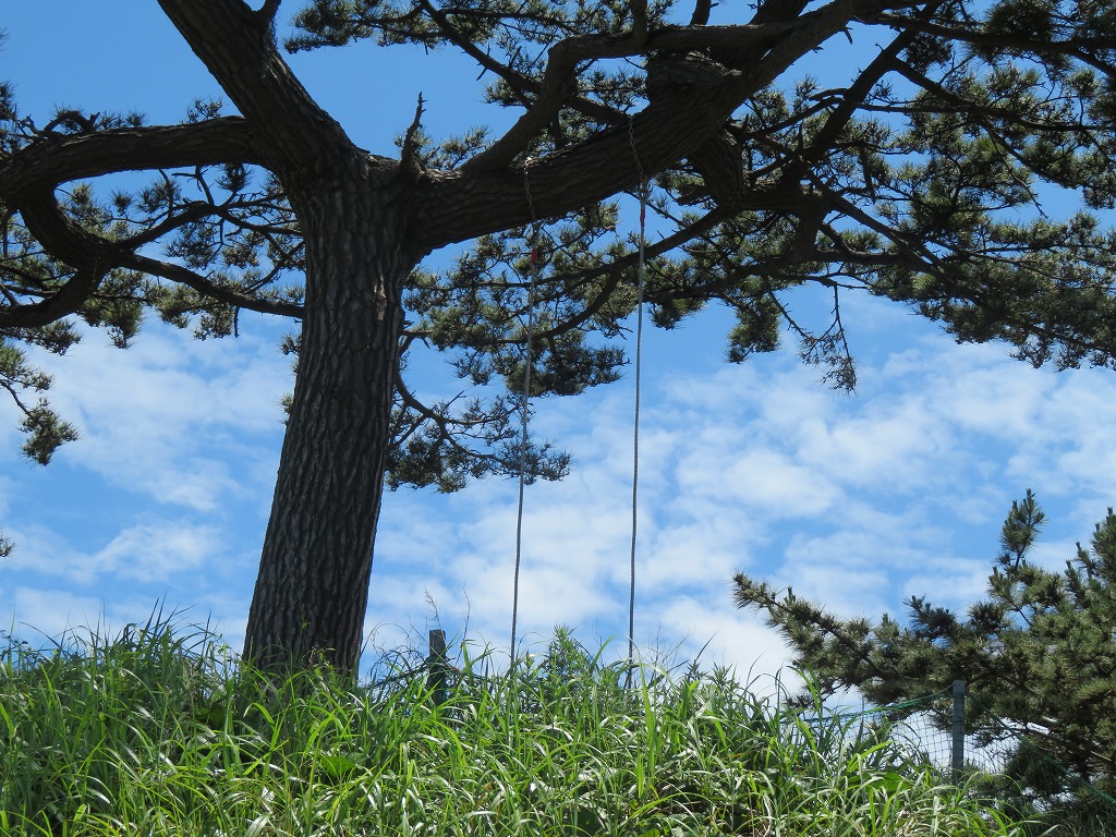 f:id:poseidonttzr:20210708132657j:plain