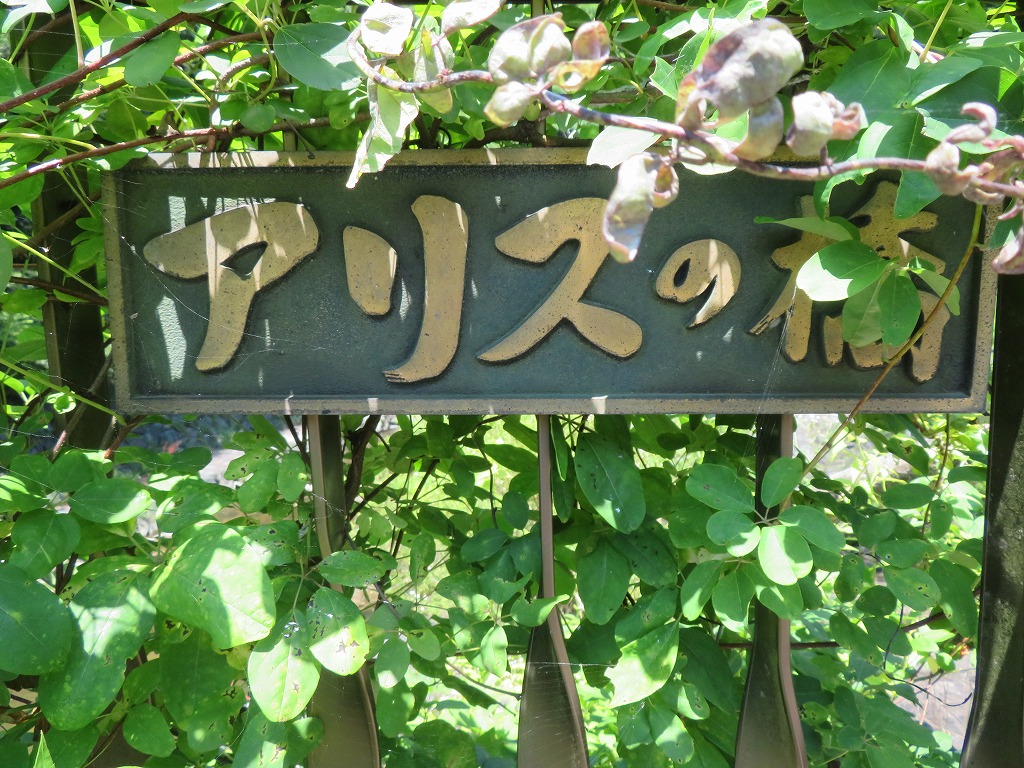 f:id:poseidonttzr:20210731153209j:plain