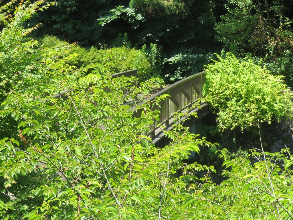 f:id:poseidonttzr:20210807053759j:plain