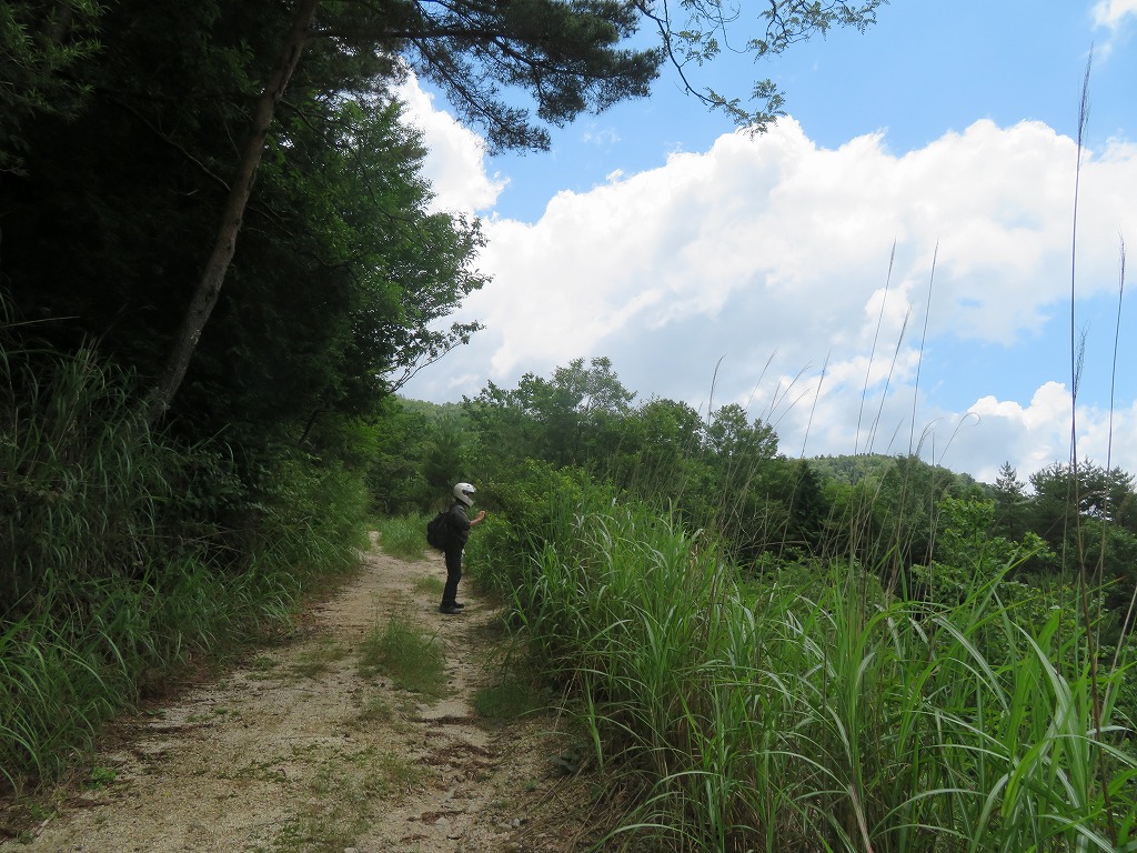 f:id:poseidonttzr:20210828070636j:plain