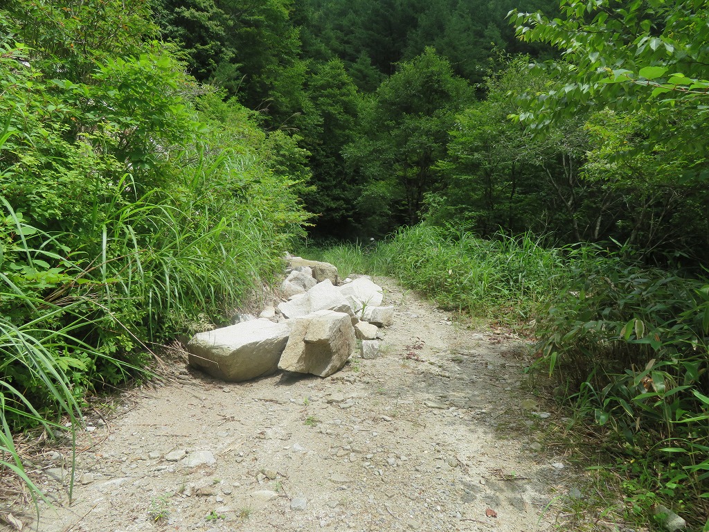 f:id:poseidonttzr:20210828072708j:plain