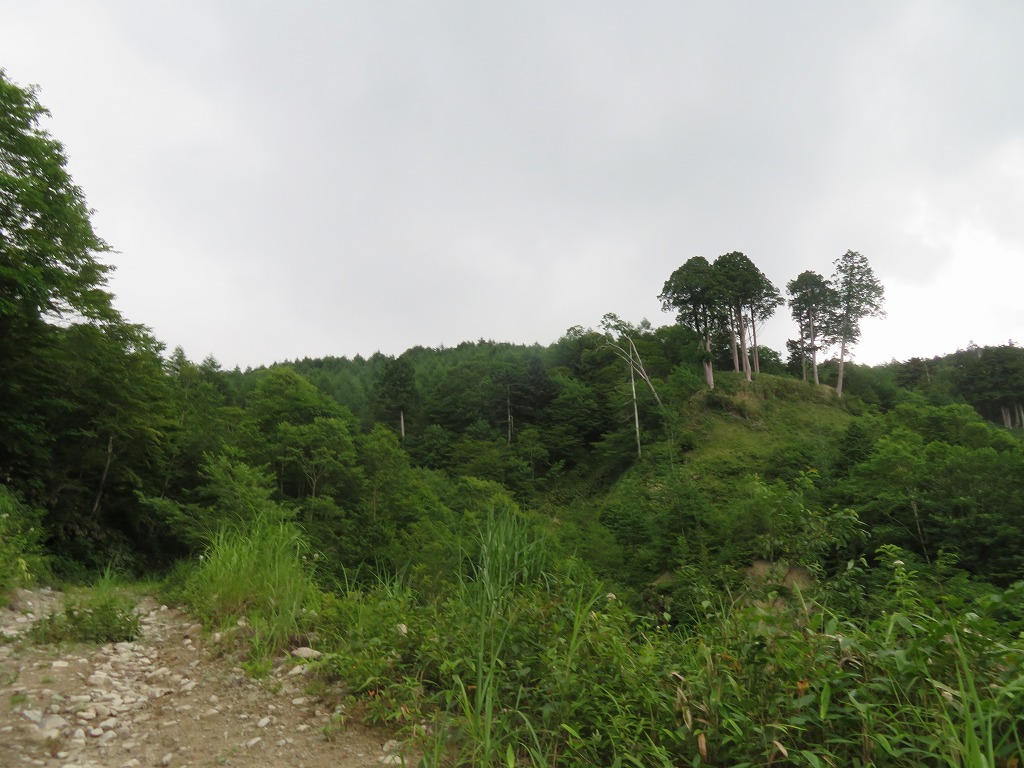 f:id:poseidonttzr:20210828072957j:plain