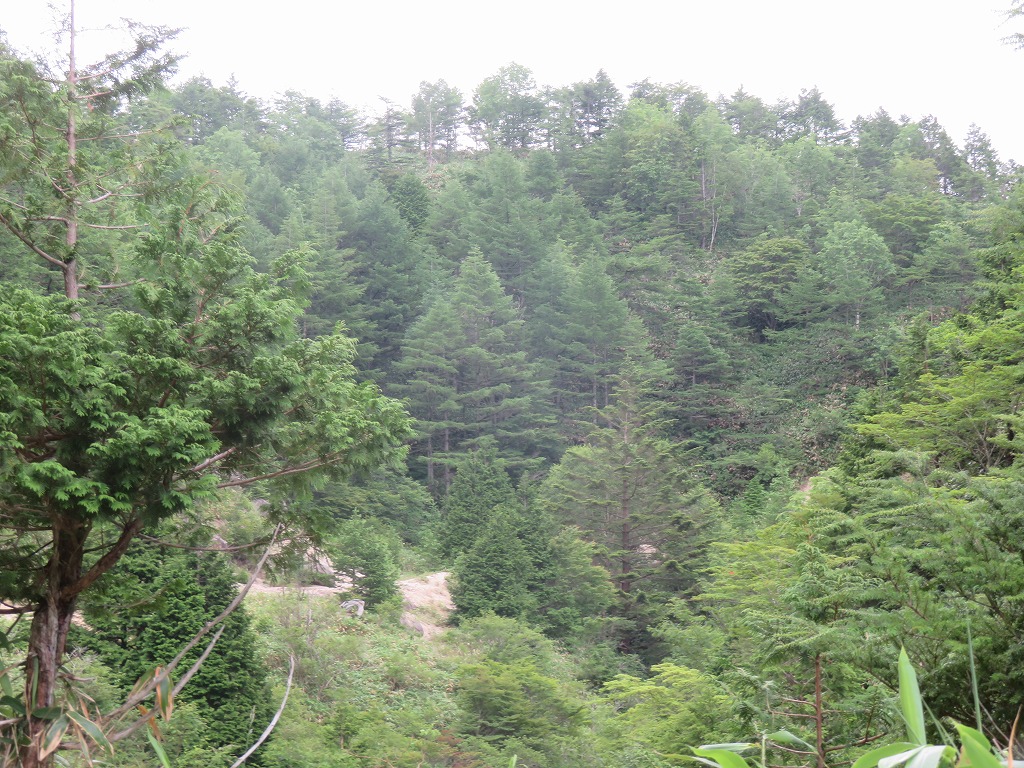 f:id:poseidonttzr:20210828073354j:plain