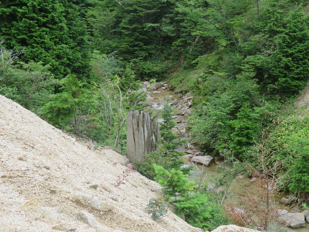 f:id:poseidonttzr:20210828073701j:plain