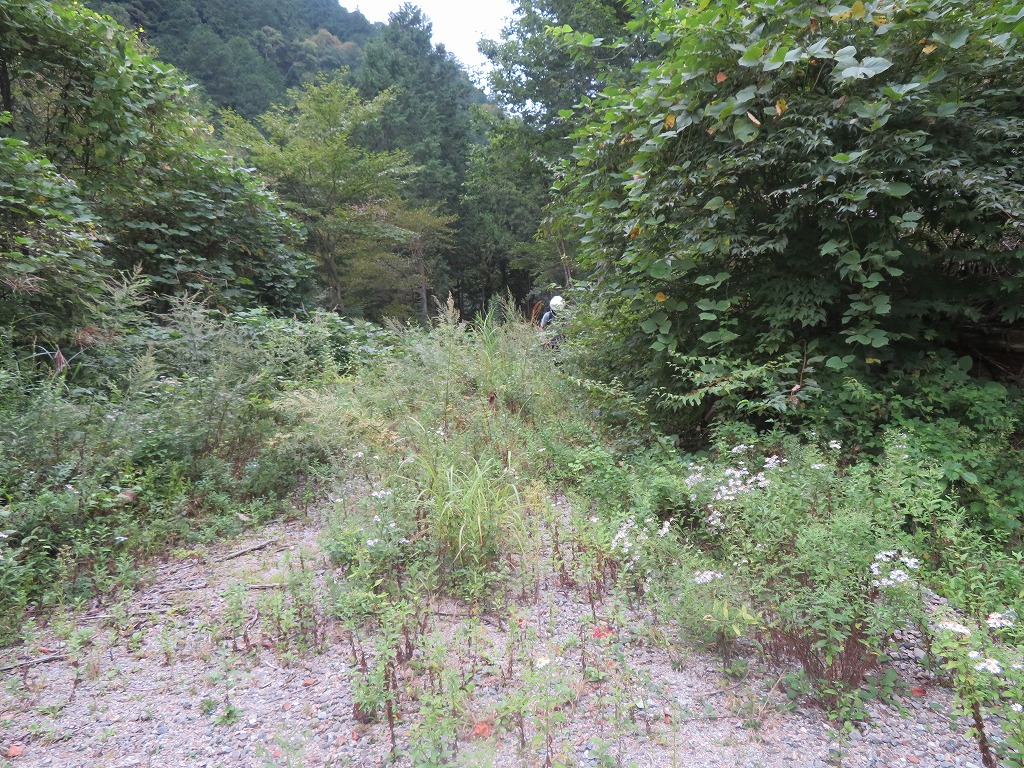 f:id:poseidonttzr:20210913084059j:plain