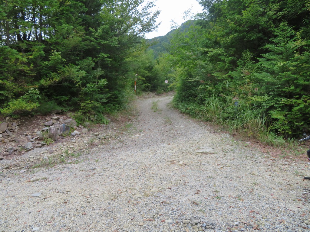 f:id:poseidonttzr:20210919051051j:plain