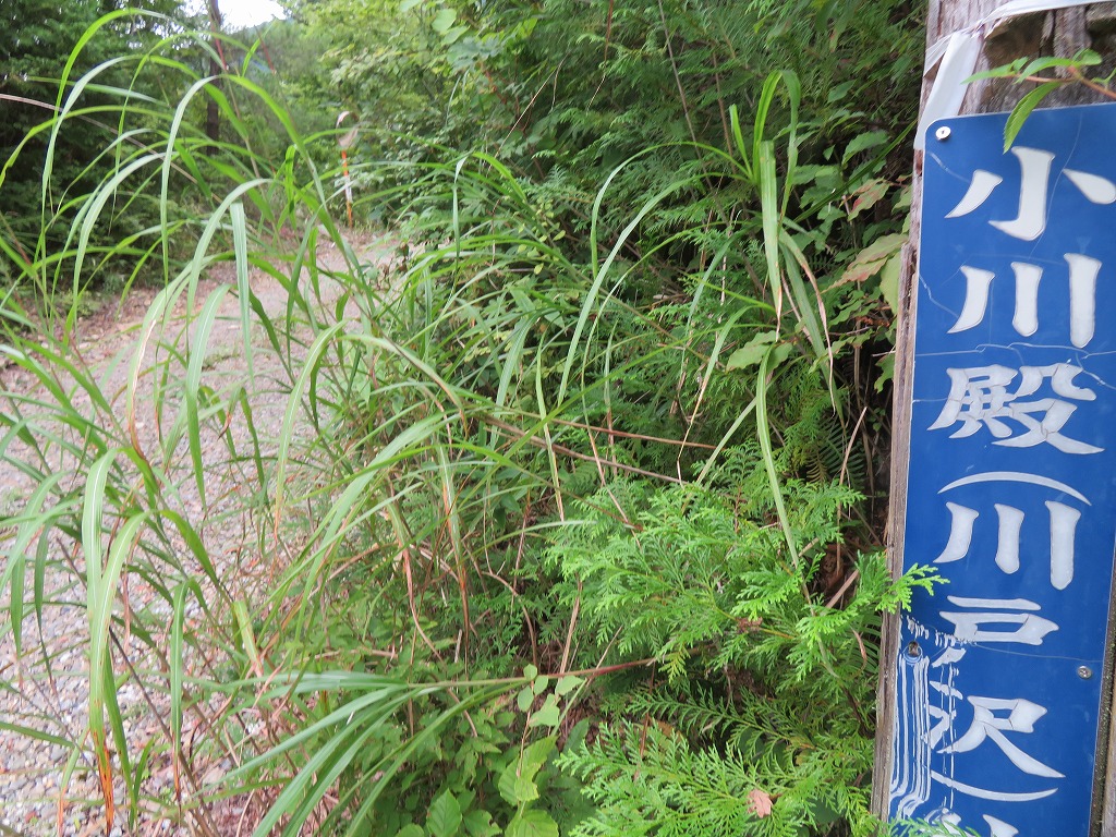 f:id:poseidonttzr:20210919051126j:plain