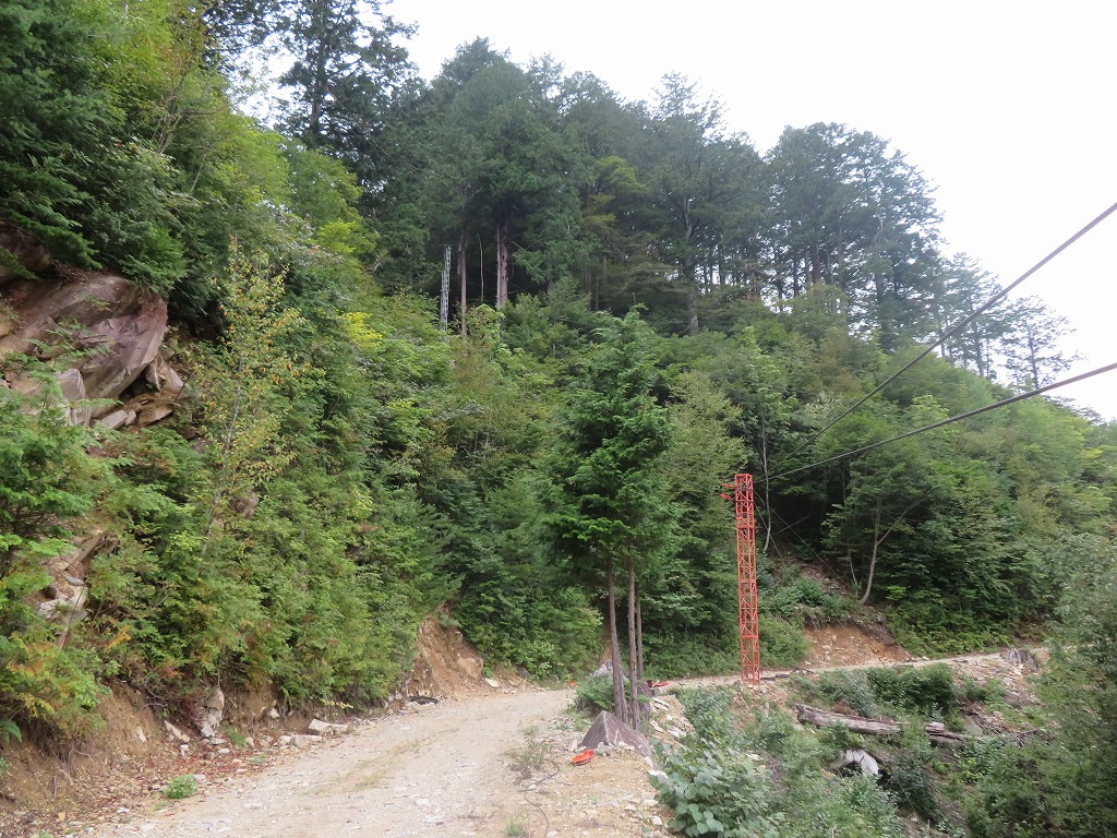 f:id:poseidonttzr:20210919062652j:plain