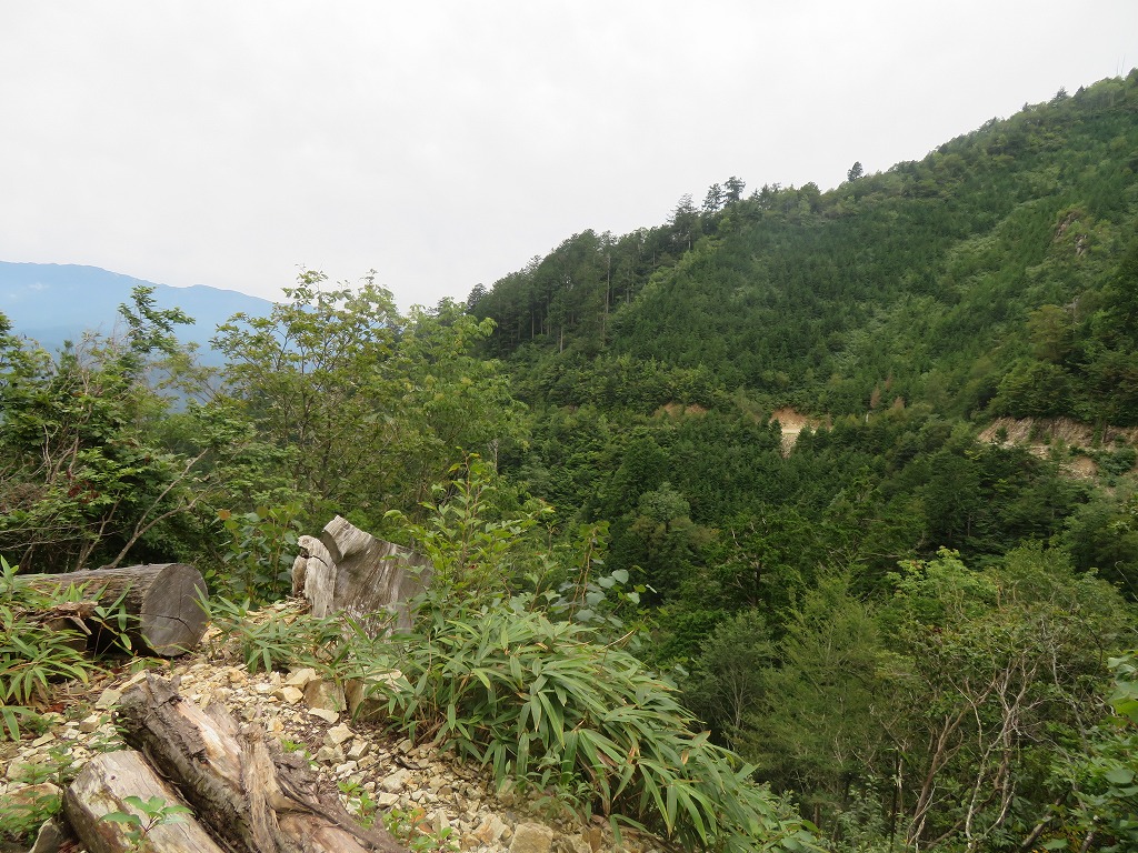 f:id:poseidonttzr:20210919065703j:plain