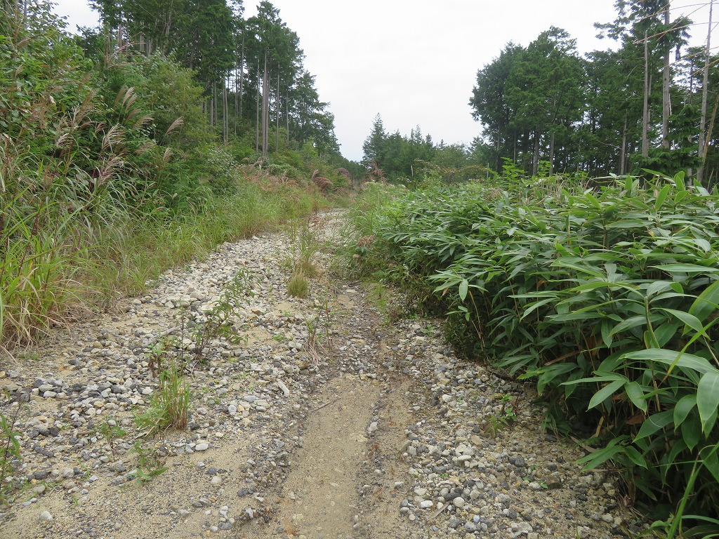 f:id:poseidonttzr:20210919065842j:plain