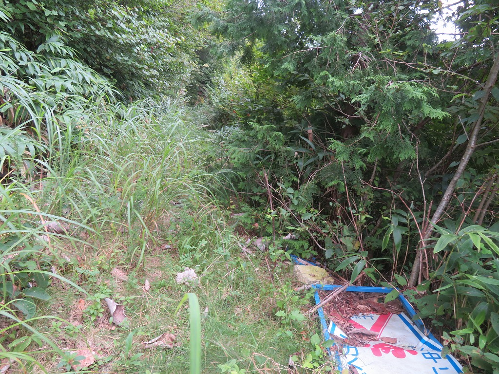 f:id:poseidonttzr:20210919070124j:plain