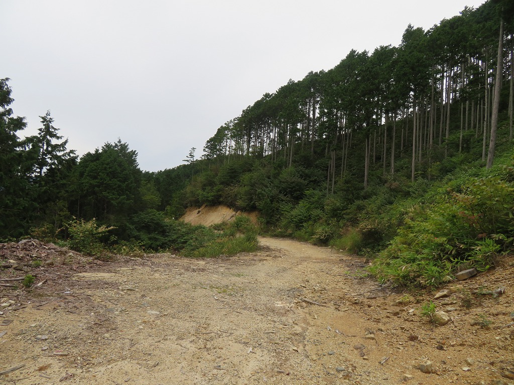 f:id:poseidonttzr:20210923081826j:plain