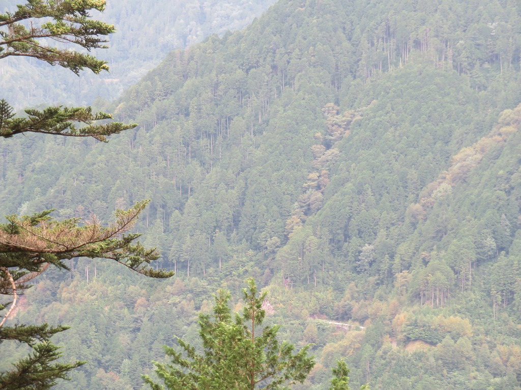 f:id:poseidonttzr:20210923084158j:plain