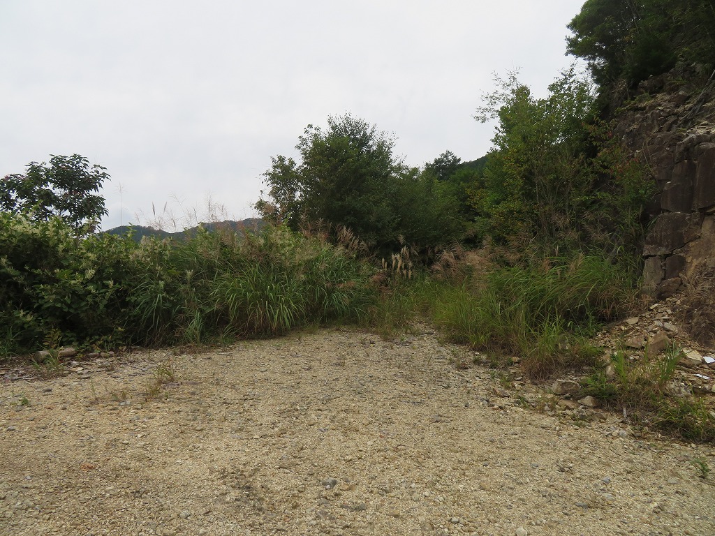 f:id:poseidonttzr:20210923084408j:plain