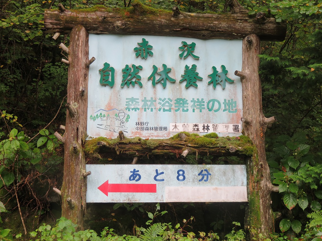 f:id:poseidonttzr:20211103142148j:plain