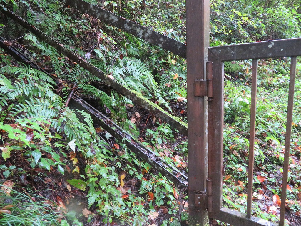 f:id:poseidonttzr:20211103142958j:plain