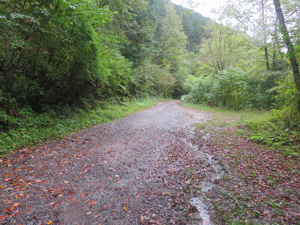 f:id:poseidonttzr:20211103144307j:plain